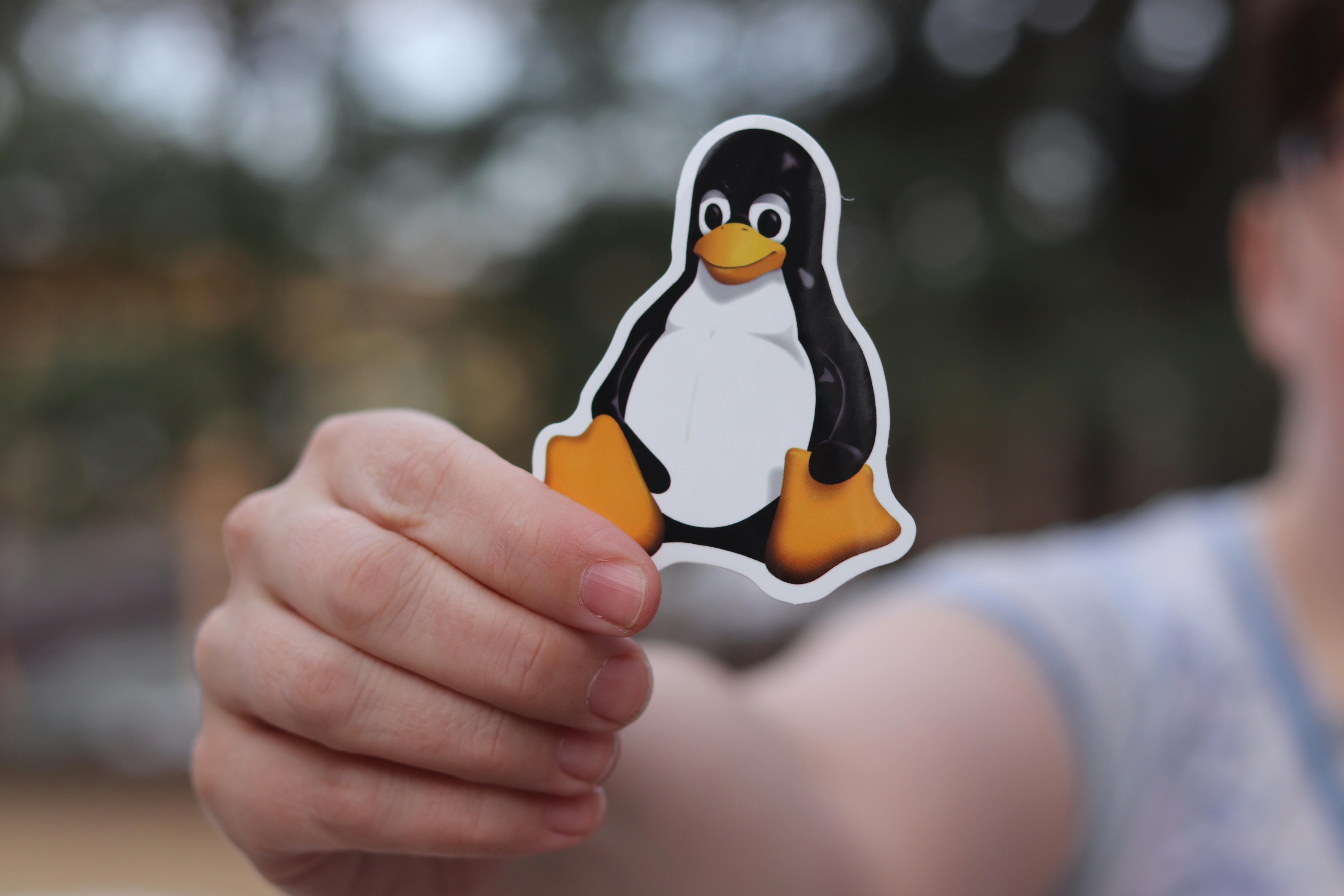 foto linux